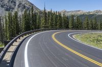 the highway goes into mountains with pine trees beside it, and with two people on the side