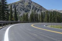 the highway goes into mountains with pine trees beside it, and with two people on the side