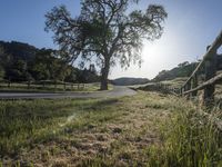 Scenic Drive through Countryside in California, USA (001)