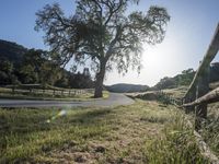 Scenic Drive Through Countryside, California, USA 002