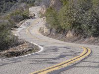 A Scenic Drive Through Low-Lying Mountains with Yellow Trees