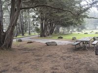 Scenic Drive on Pacific Coast Highway, Big Sur - 002