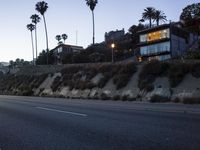 an empty road near a rocky cliff area and palm trees in the sunset sky a few light bulbs are on on the wall