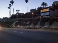 an empty road near a rocky cliff area and palm trees in the sunset sky a few light bulbs are on on the wall