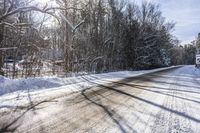 Scenic Forest Road in Canada: A Drive Through Nature