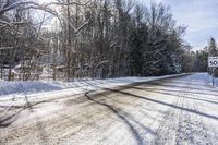 Scenic Forest Road in Canada: A Drive Through Nature