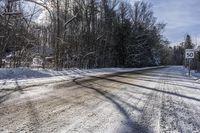 Scenic Forest Road in Canada: A Drive Through Nature