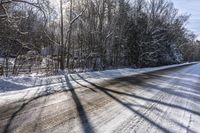 Scenic Forest Road in Canada: A Drive Through Nature