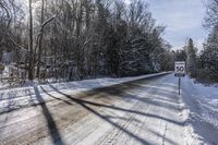 Scenic Forest Road in Canada: A Drive Through Nature