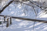 Scenic Forest Road in Ontario, Canada