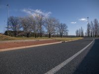 Scenic Grassy Road with Shadowing Trees