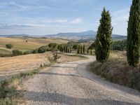 gravel road winding through an italian countryside with rolling hills behind it and trees lining the sides of both sides