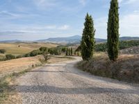 gravel road winding through an italian countryside with rolling hills behind it and trees lining the sides of both sides