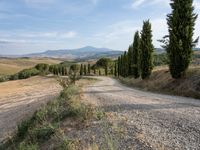 gravel road winding through an italian countryside with rolling hills behind it and trees lining the sides of both sides