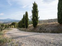 gravel road winding through an italian countryside with rolling hills behind it and trees lining the sides of both sides