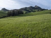 Scenic Highland: Mountain Landscape of California