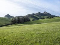 Scenic Highland: Mountain Landscape of California