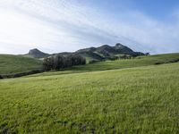 Scenic Highland: Mountain Landscape of California