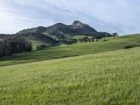 Scenic Highland: Mountain Landscape of California