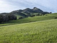 Scenic Highland: Mountain Landscape of California