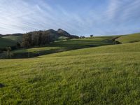 Scenic Highland: Mountain Landscape of California