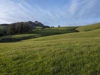 Scenic Highland: Mountain Landscape of California