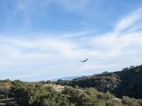 a bird flies through the air over a small hill with a few trees on the hillside