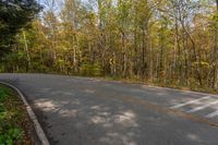 the road has a yellow and white sign in front of trees in a forest at a scenic intersection