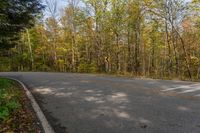 the road has a yellow and white sign in front of trees in a forest at a scenic intersection