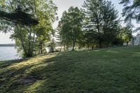 view of the lake from behind a forest and green grass in front of a house