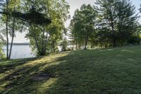 view of the lake from behind a forest and green grass in front of a house