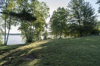 view of the lake from behind a forest and green grass in front of a house