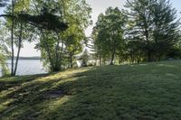 view of the lake from behind a forest and green grass in front of a house