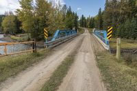 Scenic Landscape in Alberta, Canada