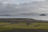 a field with animals standing and laying in grass next to water with an island in the distance