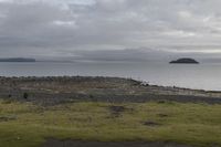 a field with animals standing and laying in grass next to water with an island in the distance