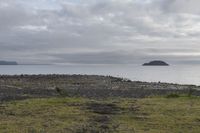 a field with animals standing and laying in grass next to water with an island in the distance