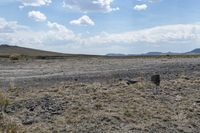 a lone elephant on a dirt land with mountains in the background with no people or animals