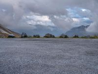 Scenic Landscape with Asphalt Road and Vegetation