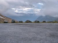 Scenic Landscape with Asphalt Road and Vegetation