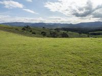 Scenic Landscape of Bald Hills in New South Wales, Australia