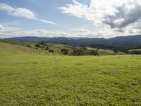 Scenic Landscape of Bald Hills in New South Wales, Australia