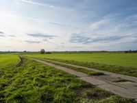 the sun is shining in the green field above a grassy area with a road and dirt path