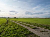 the sun is shining in the green field above a grassy area with a road and dirt path