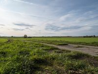 the sun is shining in the green field above a grassy area with a road and dirt path