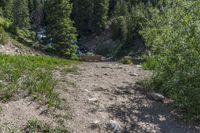 a small stream flowing over a rock wall next to a small forest with lots of trees