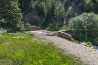 a small stream flowing over a rock wall next to a small forest with lots of trees