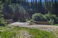 a small stream flowing over a rock wall next to a small forest with lots of trees