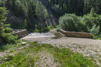 a small stream flowing over a rock wall next to a small forest with lots of trees