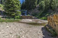 a small stream flowing over a rock wall next to a small forest with lots of trees